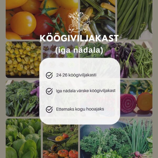 Köögiviljakast (iga nädal/ettemaks)